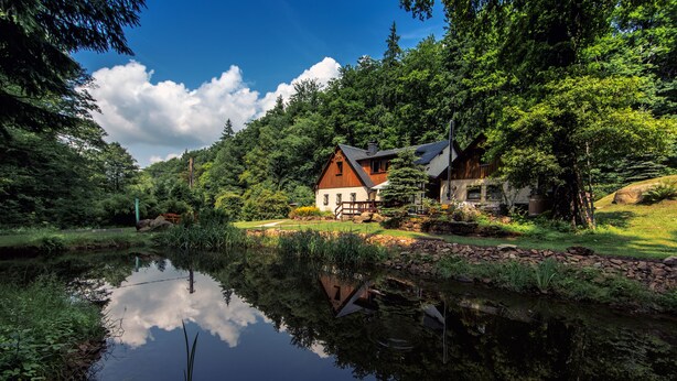 A house with a wooden exterior, surrounded by lush greenery and a pond reflecting the sky. - Ferienhaus Oppach (Oppach)