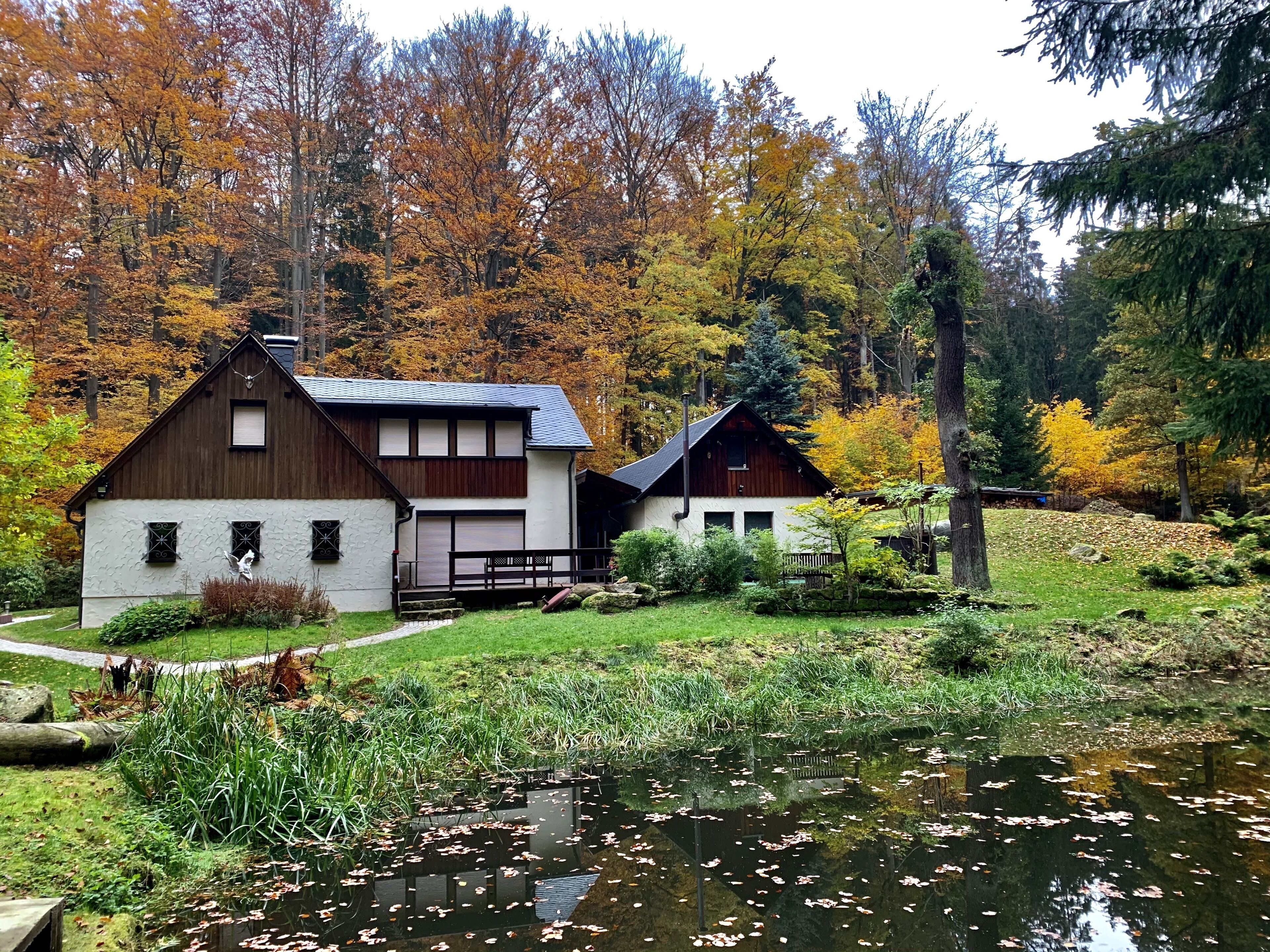 Eine Holzhütte mit Stein Fundament und einem kleinen Teich mit Seerosen davor.