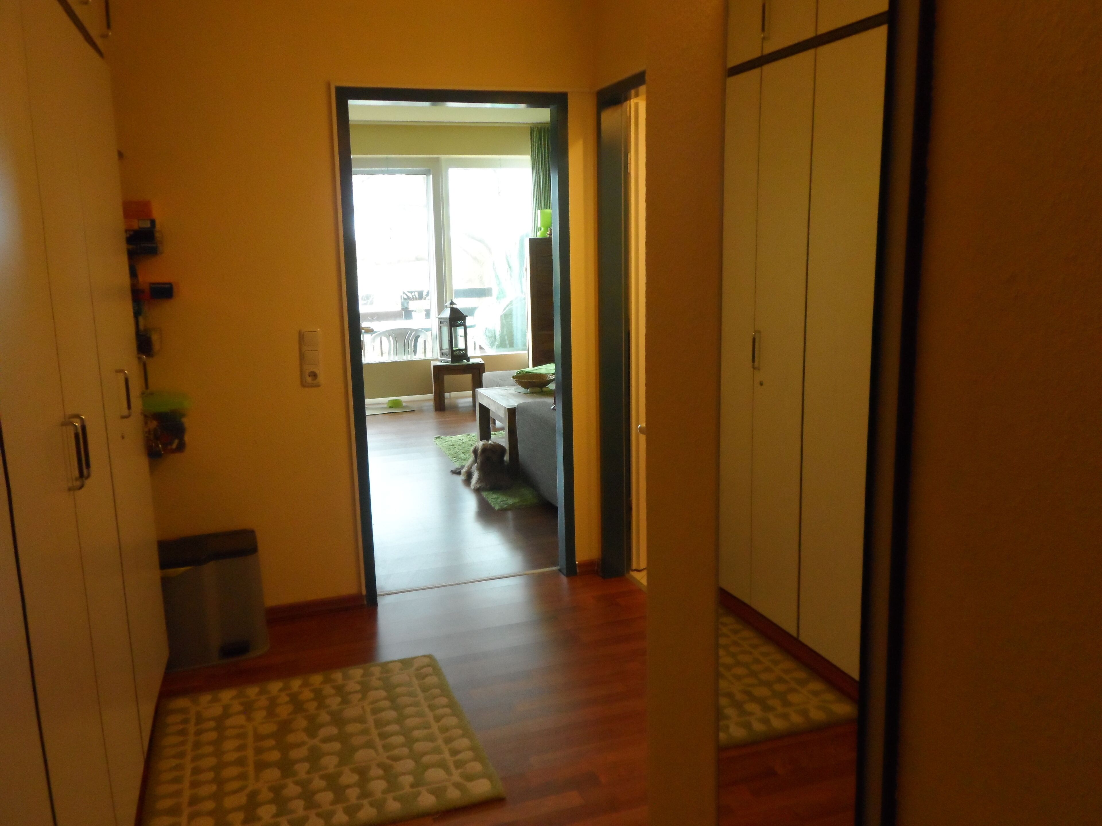 A hallway with wooden flooring, a green mat, a trash bin, and a door leading to a balcony with a view.
