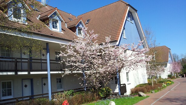 A two-story building with a traditional architectural style, featuring a tiled roof and a balcony. - Ground floor apartment in apartment complex Fördeblick  (Laboe)