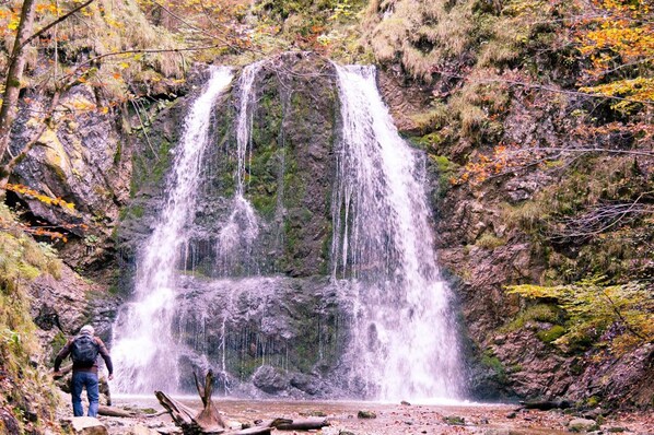 Unclassified image, 1 of 22, button - Cafe-Wirtshaus Brunnhof - Holiday apartment (Schliersee)