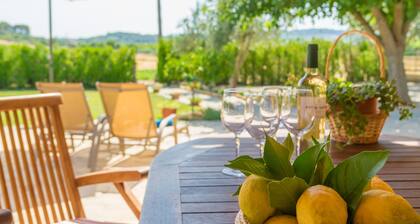 Holiday house with pool in the heart of Mallorca