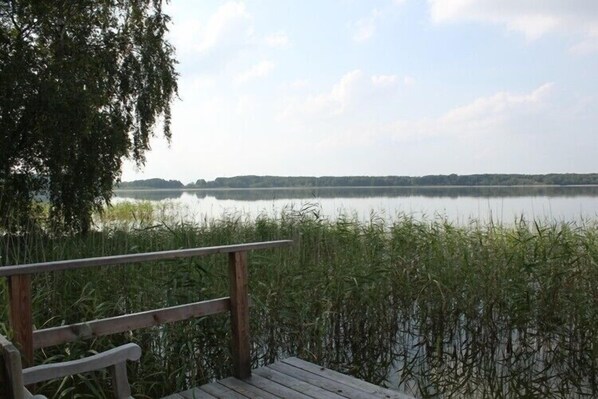 A wooden deck overlooking a calm lake with dense reeds in the foreground and a distant tree line. - Very quiet 7500m² lake plot, own jetty (Neu Damerow)