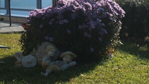 Un jardín con un arbusto de flores moradas y un objeto esférico rojo en un poste, con montañas al fondo.