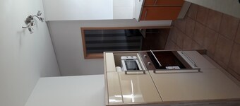 Apartment Woodpecker