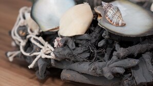 Eine Nahaufnahme einer natürlichen Anordnung aus Treibholz, Meeresglas und Muscheln.