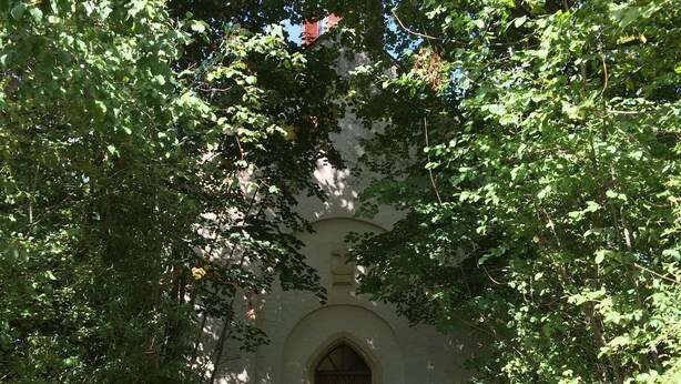 A stone staircase leading to a building with a wooden door, surrounded by lush green foliage. - Old forge in a listed courtyard (Messerich)
