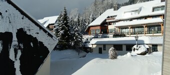 Bel appartement de 2 pièces à louer à Todtmoos dans le magnifique sud de la Forêt Noire