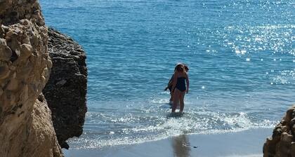 Finca with fantastic sea view and pool on a 3000mÂČ property