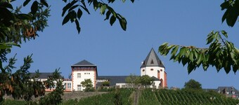 large comfortable house for 2 to 6 people, directly on the Moselle, with WiFi 