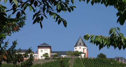 großes komfortables Haus für 2 bis 6 Personen, direkt an der Mosel, mit WLAN