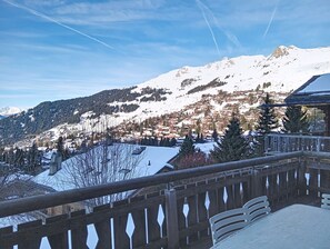 Property grounds - Chalet Teura (Verbier)