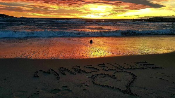 Beach - NICE HOUSE IN THE COUNTRY WITH PRIVATE POOL (pets accessibility) (Cabannes)