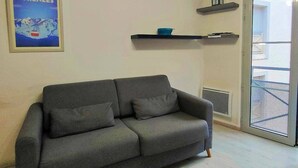 A grey sofa with cushions, a framed picture of Pyrenees, a blue bowl on a black shelf, and a door with a metal screen.
