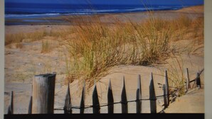 A beach scene with sand dunes and a wooden fence.