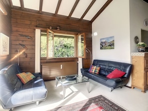 TV, fireplace, DVD player
