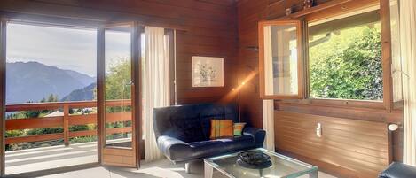 テレビ、暖炉、DVD プレーヤー