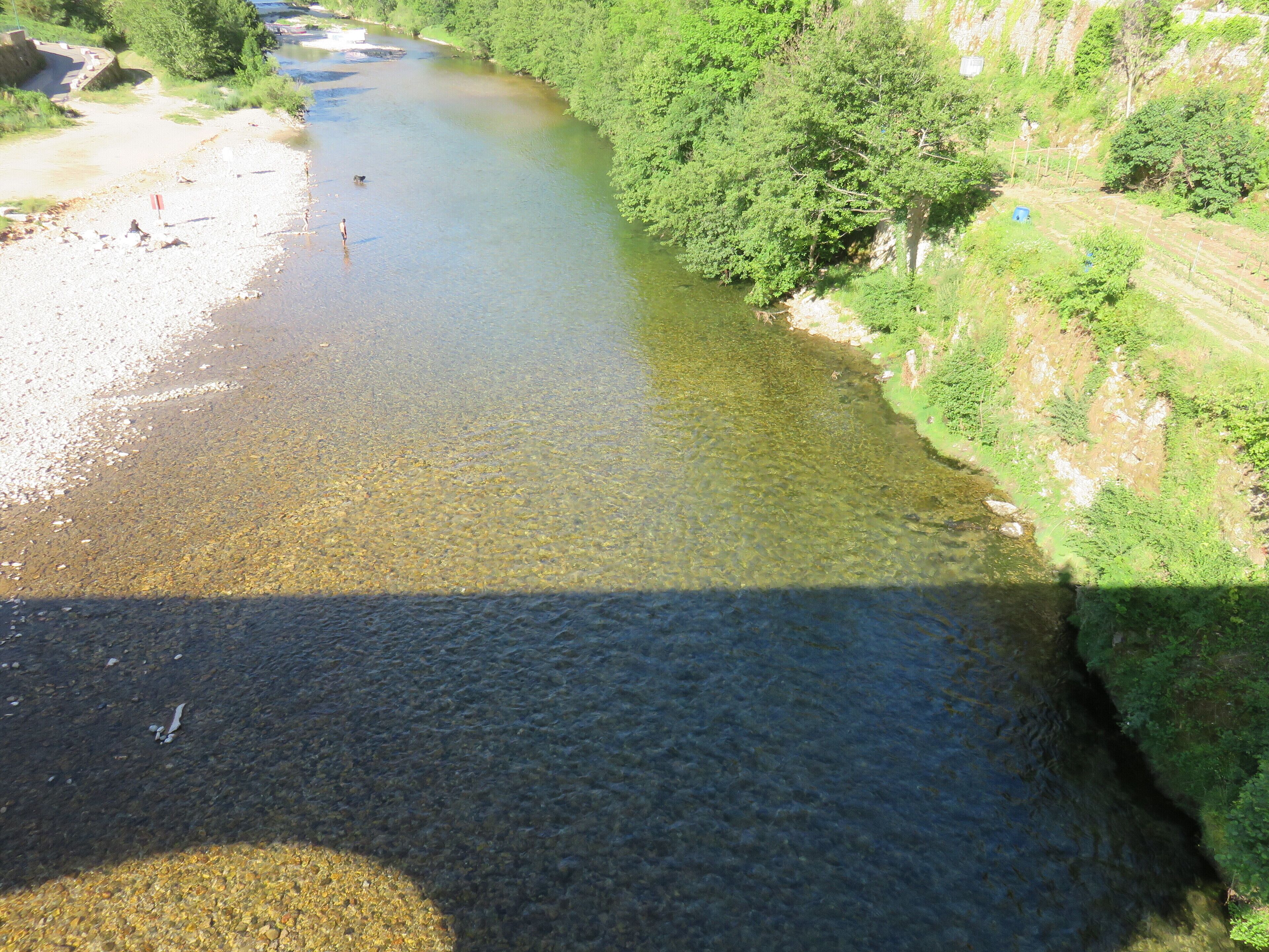 A river with clear water, surrounded by greenery and a rocky bank.