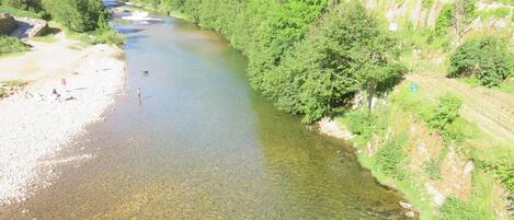 A river with clear water, surrounded by greenery and a rocky bank.