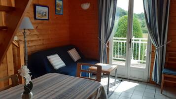 TV, DVD player, books