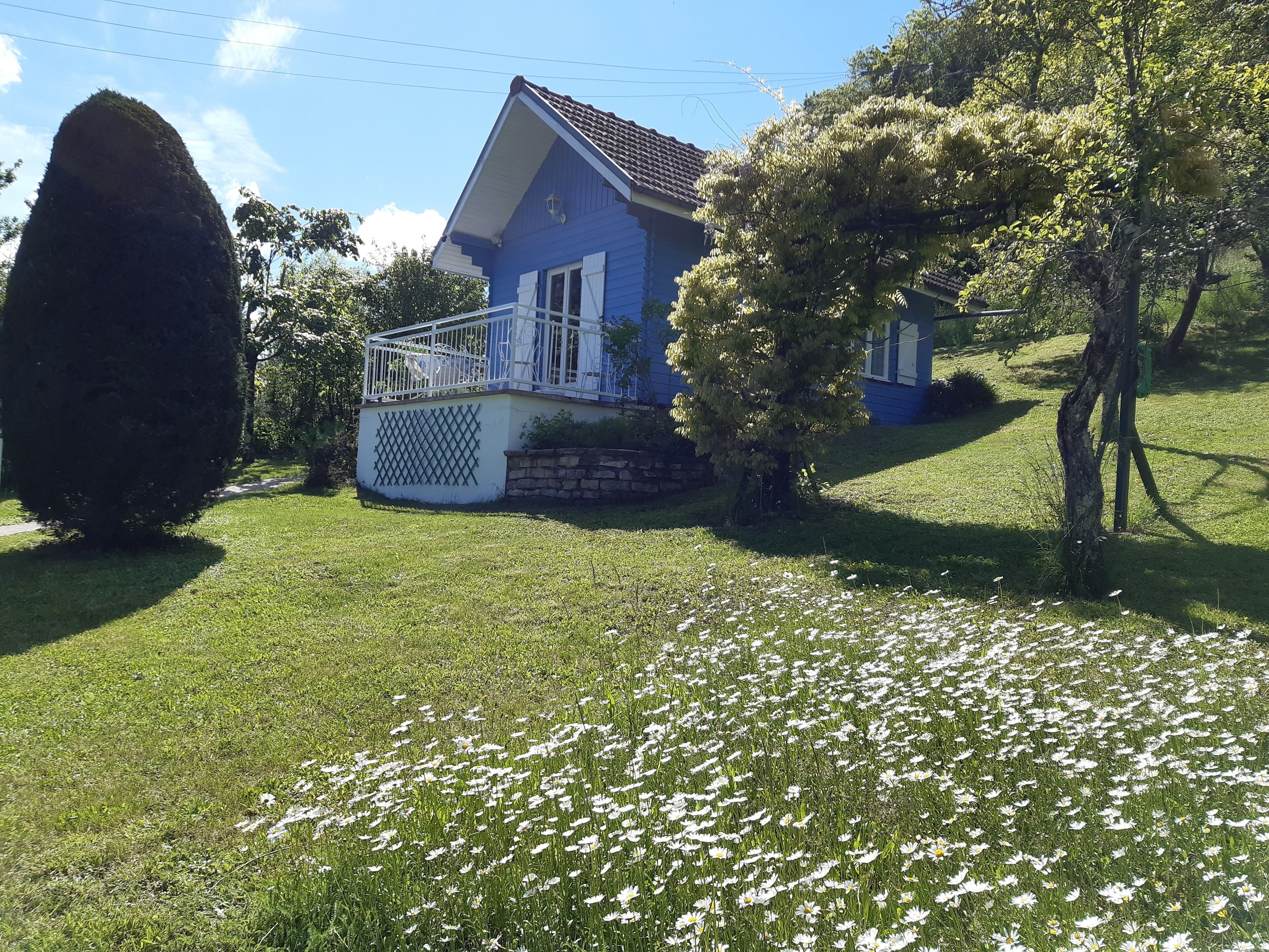 Et hus med en hvid veranda, omgivet af en græsplæne med hvide blomster, og et stort træ til venstre.