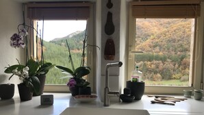 A kitchen with a white sink, potted plants, a JBL speaker, and a view of autumn trees through the window. - House, St Rome de Cernon (St Rome de Cernon)