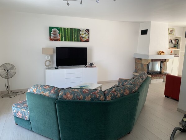 TV, fireplace, DVD player, books