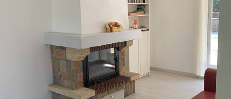 Fernseher, Kamin, DVD-Player, Bücher