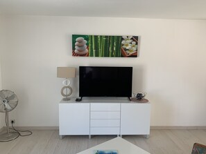 Televisión, chimenea, reproductor de DVD y libros