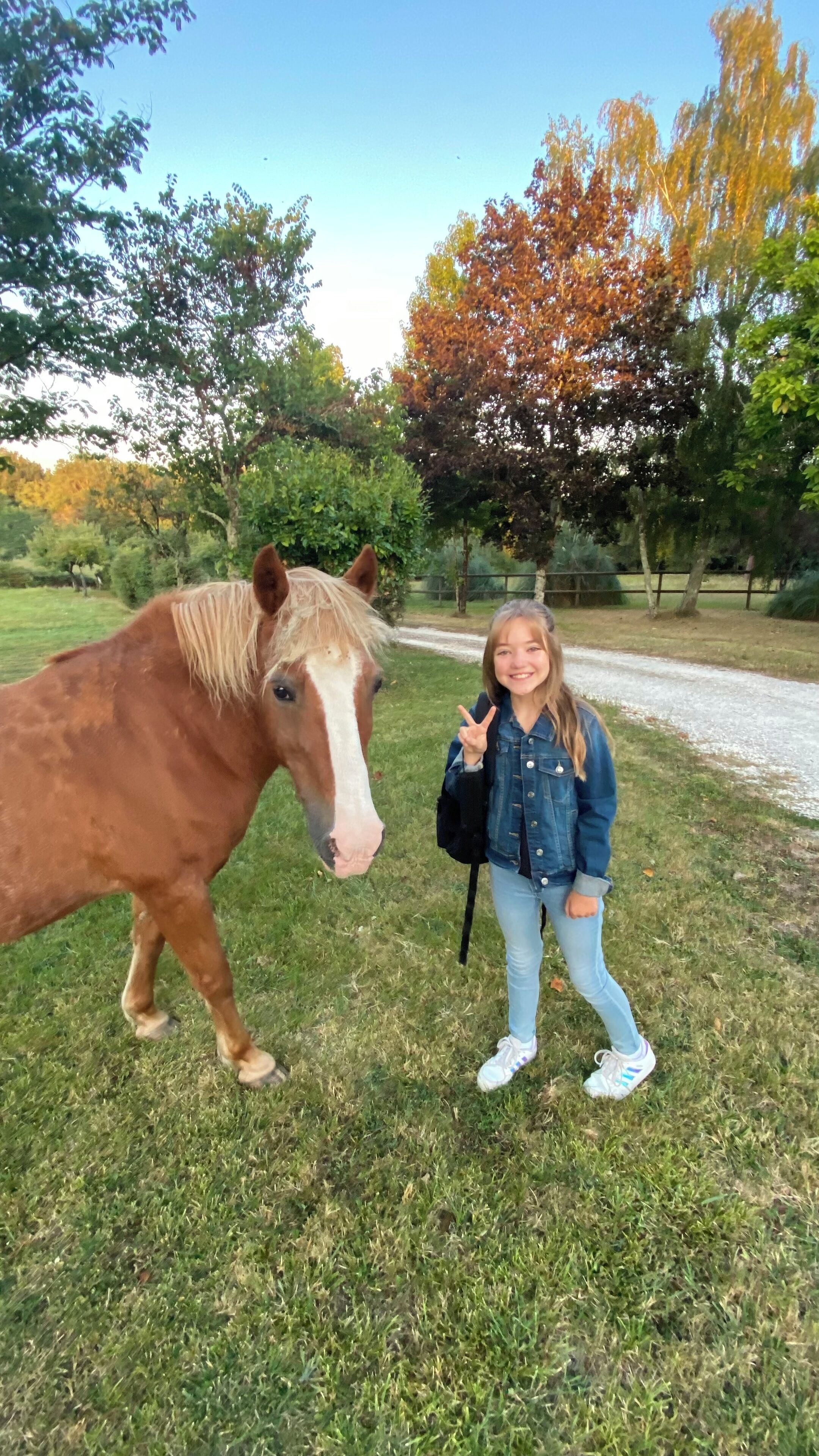 Une personne se tient à côté d’un cheval dans un espace verdoyant, avec des arbres en arrière-plan.