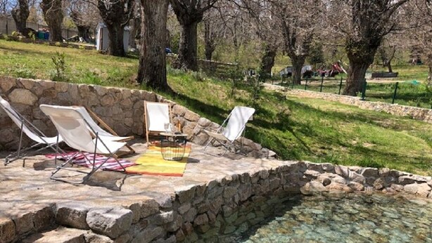 A stone patio with a small pool, surrounded by a stone wall and a grassy area with trees. - Corsican house perfect for hot weather between Monte Cinto and Calacuccia Lake  (LOZZI)