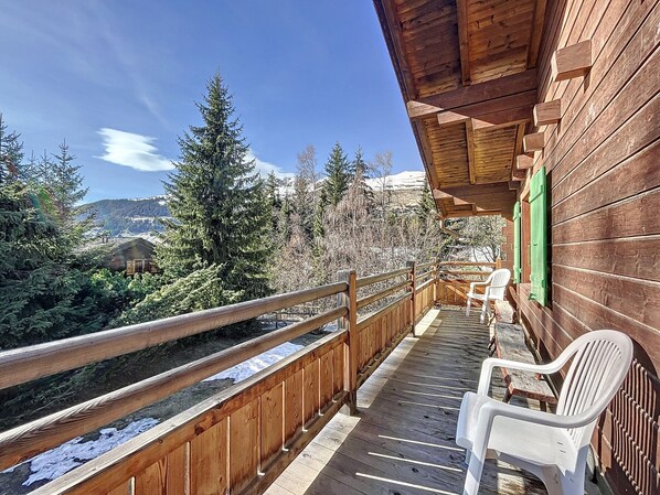 Property grounds - Pâquerette 1er (Verbier)