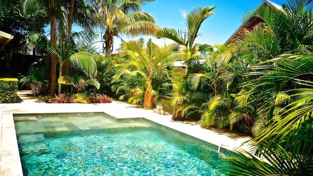 A rectangular swimming pool surrounded by lush tropical vegetation and palm trees. - Superb villa with heated swimming pool and jacuzzi in lush greenery (Saint-Pierre)