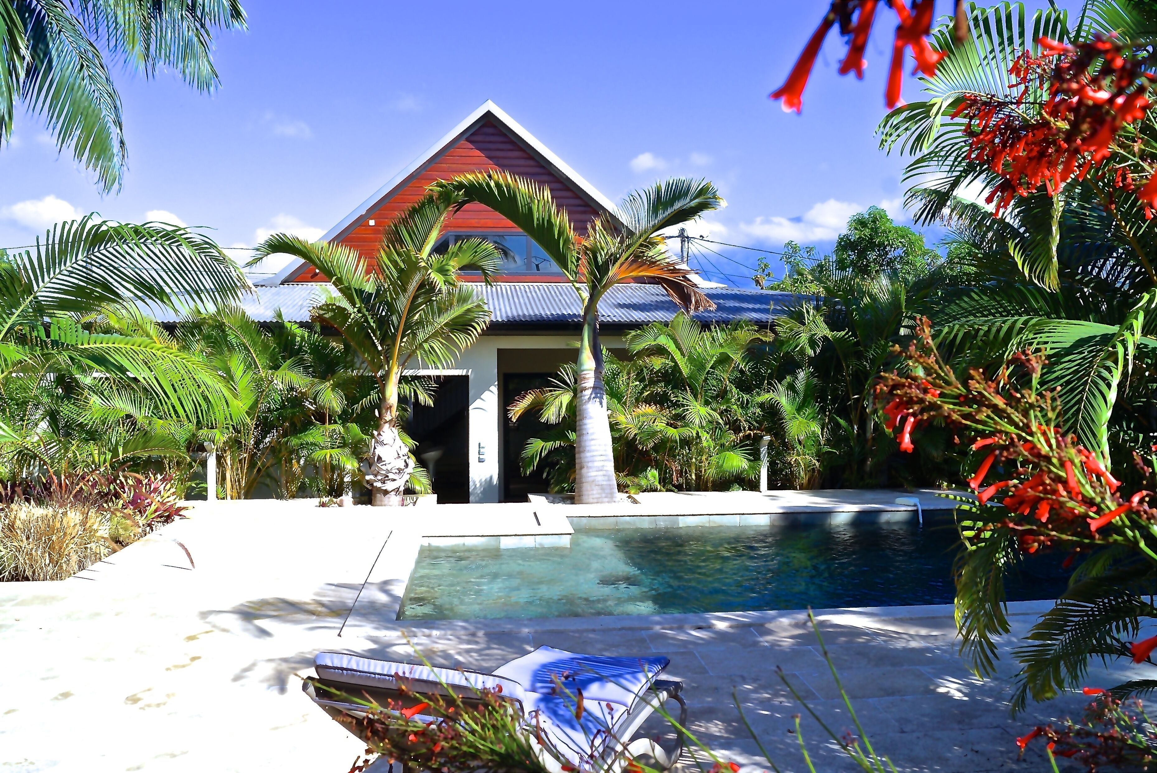 A house with a red roof and a swimming pool surrounded by tropical plants.
