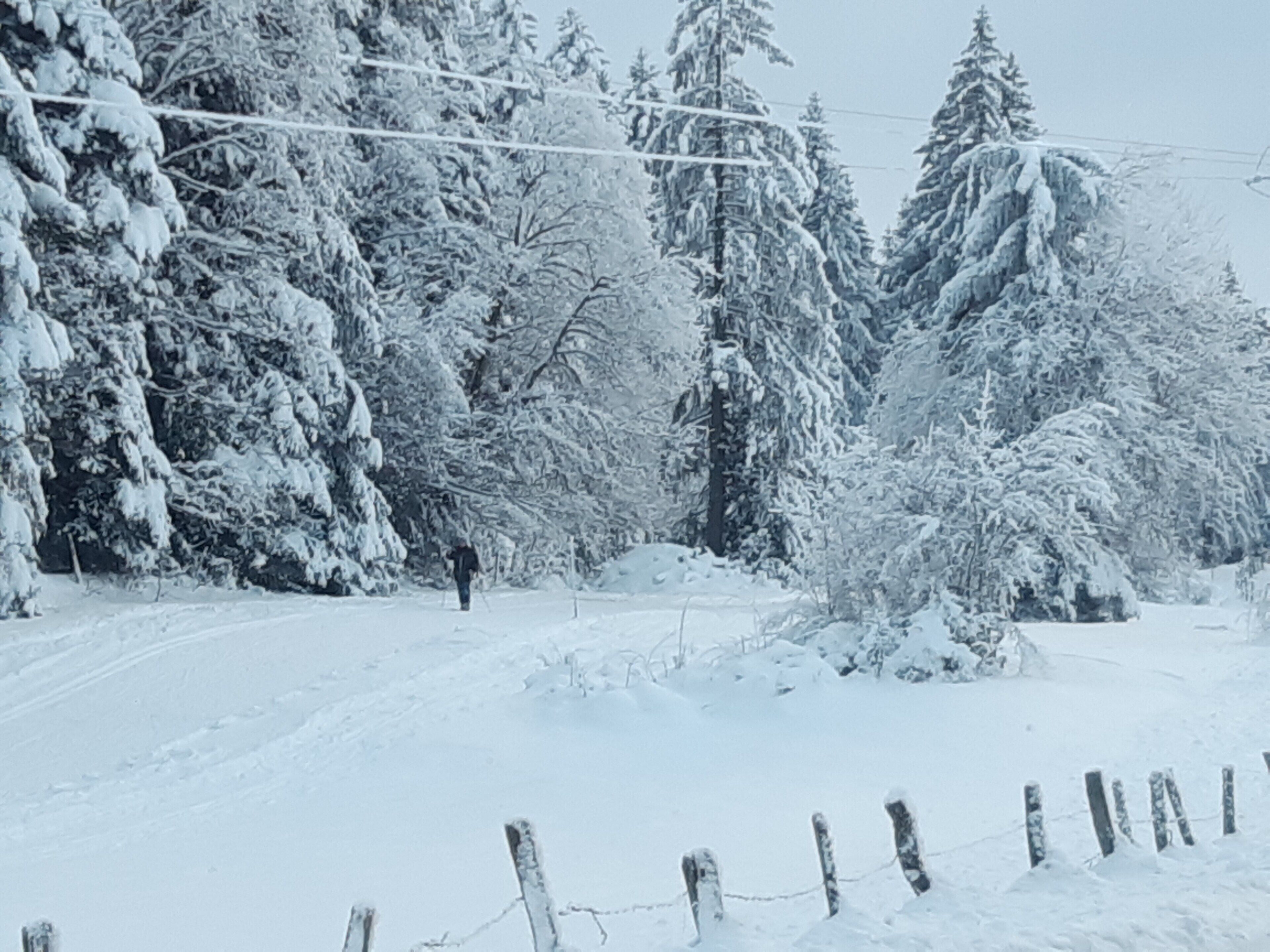 A snowy landscape with a person walking on a snow-covered path, surrounded by snow-laden trees.