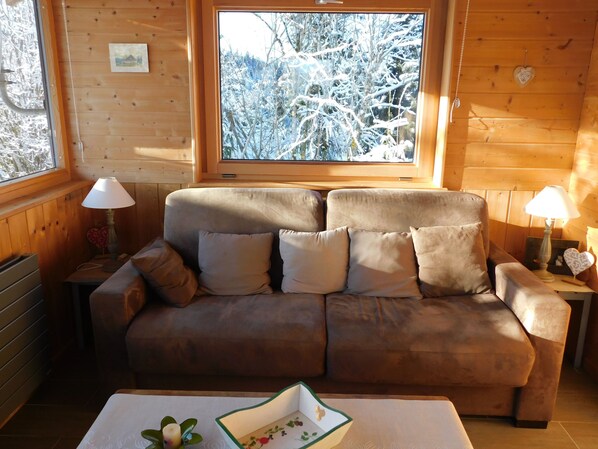 Televisio, takka, DVD-soitin, kirjoja