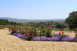 Property grounds - Large Mas with heated pool for 10 people, 3 Bathrooms panomaric view (Cairanne)