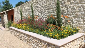 Terrein van de accommodatie