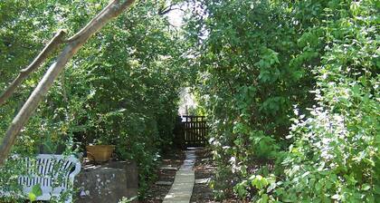 Dans village de Provence, 2 logements rustiques dans clos arbo