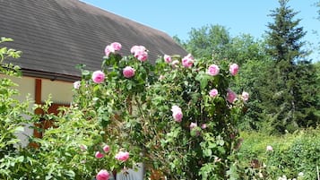 Udendørsområde