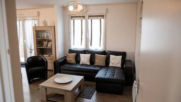 Televisión, reproductor de DVD y libros