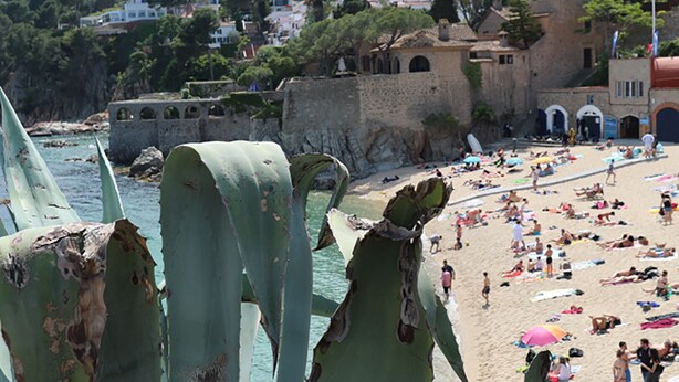 A beach with people sunbathing and walking, a stone wall, and buildings in the background. - 5 minutes from the beach, a charming apartment in a beautiful residence.... (CALELLA DE PALAFRUGELL)