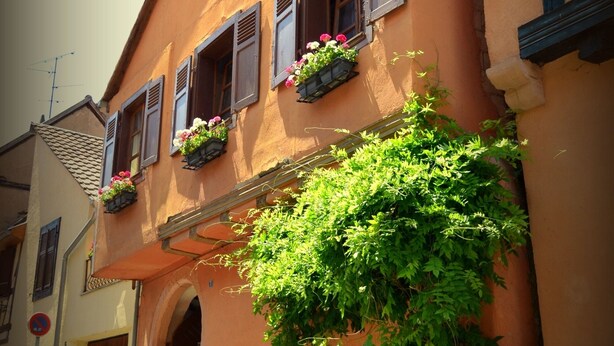 A traditional building with a sloped roof, wooden shutters, and flower boxes on the windows. - House Limeray, House Kayserberg Vineyard 10 people (Kaysersberg Vignoble)