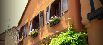 Gîtedu Limeray、House kayserbergブドウ園10名