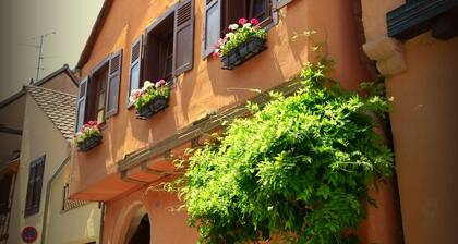 House Limeray, House Kayserberg Vineyard 10 people