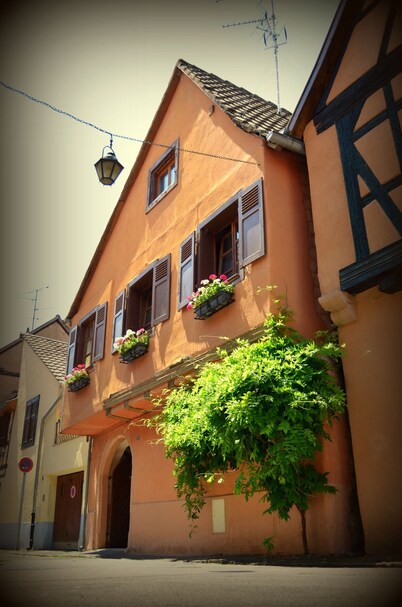 House Limeray, House Kayserberg Vineyard 10 people