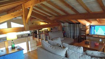 Télévision, lecteur de DVD, table de tennis de table, livres