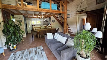 Télévision, lecteur de DVD, table de tennis de table, livres