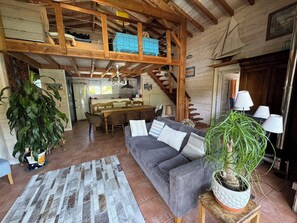 Télévision, lecteur de DVD, table de tennis de table, livres