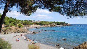 A coastal beach with people sunbathing and swimming, surrounded by rocky terrain and trees. - Superb new apartment, luxury, stunning sea views (Llançà)